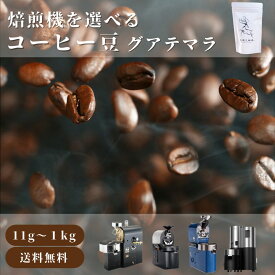 【好きな焙煎機が選べる！】グアテマラ サンタクララ ブルボン 11g / 100g / 500g / 1kg コーヒー豆 スペシャルティコーヒー 自家焙煎豆 コーヒー ギフト プレゼント 奈良 オリジナル 珈琲 生豆