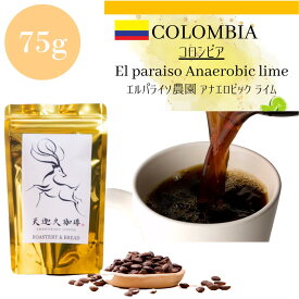 ＊コロンビア 75g＊ エルパライソ農園 ライム コーヒー豆 スペシャルティコーヒー 自家焙煎豆 75g コロンビア コーヒー ギフト プレゼント 奈良 オリジナル 珈琲