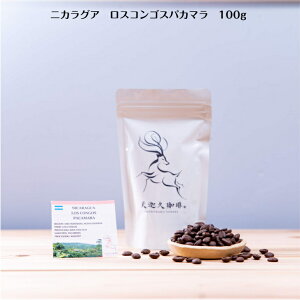 QCV uh R[q[ XyVeBR[q[  100g IWiuh Mtg v[g ޗ IWi 