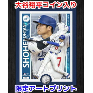 y300~N[|zMzJĕ Vo[RC A[gt[ CZX MLB hW[X RNVtHg~g USA The Highland Mint JI z tHg RC 2