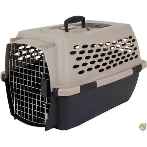 ybgCg ybgpL[obO oPl SMTCY