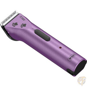 Wahl vtFbVi Aj} AR ybgpNbp[Lbg