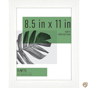 MCS Studio Gallery 8.5x11C` ʐ^t[ zCg ؖڒ `tHgt[ ʐ^A|X^[AA[gvg&C[[p ^bvgbvfBXvCp (1pbN)