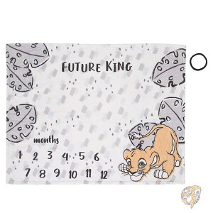 fBYj[ Disney CILO Vo  uPbg O[ zCg ^ X[p[\tg }CXg[ xr[uPbg