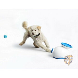 ACtFb` iFetch C^[ ANeBu {[`[ p ^ ejX{[ sAi 