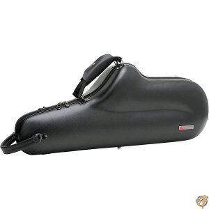 y8888~N[|20lzPROTEC BM304CT AgTbNXp ABS zipP[X n[hP[X ubN