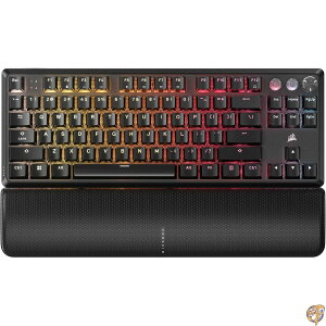 y20l888~N[|zMzCorsair (RZA) K70 PRO TKL RGB eL[X JjJ LQ[~OL[{[h - [rOς݃z[GtFNg MGX nCp[hCu\XCb` 