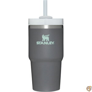 Stanley Quencher FlowState - Vaso de acero inoxidable aislado al vaco con tapa y popote para agua, t helado o caf, batidos ms 20 onzas, nueva versin