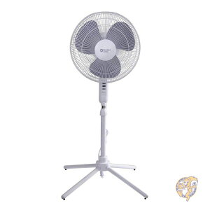 �R���t�H�[�g�]�[�� Comfort Zone ��@ �܂肽���� ���� ���� CZST161BTE 3�� 16�C���` �t�@�� ���s�A���i ��������