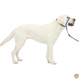 PetSafe ペットセーフ ジェントルリーダー ヘッドカラー クイックリリース(L ロイヤルブルー)