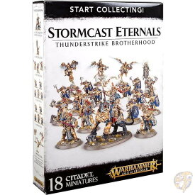 ゲームズワークショップ ストームキャストエターナル ミニフィギュア GAMES WORKSHOP 送料無料