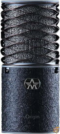 Aston Microphones/Aston Origin Black Bundle 限定モデル (AST-ORIGINBLKBUN) 送料無料