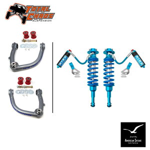 TOTAL CHAOS �g�[�^���J�I�X �����N��250��p ���t�g�L�b�g �t�����g 2.5�C���`�a �A�W���X�^�u�� KING�V���b�N �t