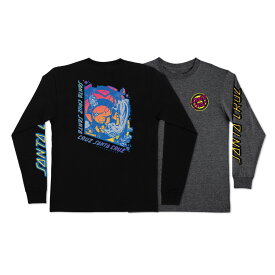 SANTA CRUZ サンタクルーズROSKOPP BREAK L/S REGULAR T-SHIRTロングスリーブTシャツ ロブ・ロスコップ TEE 長袖 ロンT メンズ レディース ストリート スケーター ファッション スケートボード スケボー sk8 skateboard【23SS】