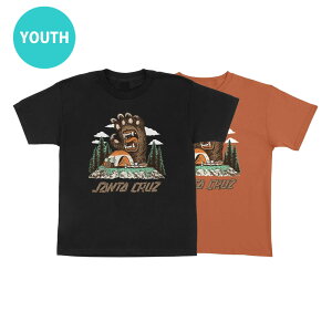 T^N[Y SANTA CRUZSCREAMING GRIZZLY FRONT S/S REGULAR T-SHIRT YOUTHTVc [XTCY qp  TEE w  XP[g{[h XP{[ sk8 skateboardy25SSz