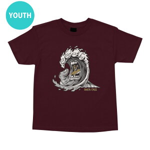 T^N[Y SANTA CRUZSCREAMING WAVE FRONT S/S REGULAR T-SHIRT YOUTH[XTCYTVc qp XN[~Onh Xg[gt@bV w  XP[g{[h XP{[ sk8 skateboard