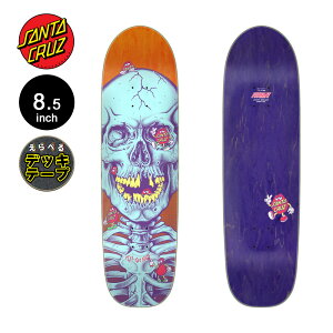 T^N[Y SANTA CRUZXP{[ fbL 8.5 FEELBASE DOT DUDES DECK XP[g{[h Xg[g sk8 skateboard y2510z