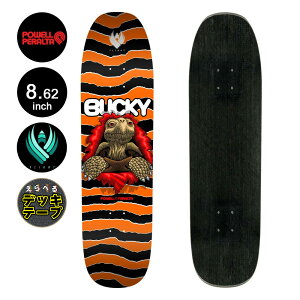 pEGEy^ POWELL PERALTAXP{[ fbL 8.62 FLIGHT BUCKY LASEK TORTOISE PRO DECK SHAPE 297obL[EZbN tCg XP[g{[h Xg[g sk8 skateboard y2505z