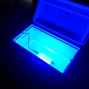 W LED 25w W dr 薾邢 12v obe[ p  WCg 4FIׂ u[ zCg CG[ IW AW ނ d| VX VXEiM  CJނ 