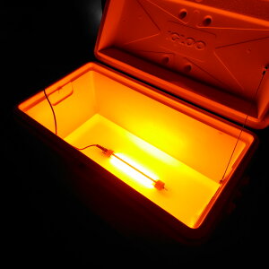 W LED 25w W dr 薾邢 12v obe[ p  WCg 4FIׂ u[ zCg CG[ IW AW ނ d| VX VXEiM  CJނ 
