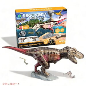 yő2,000~N[|112701:59܂Łz T-Rex  U  ͌^  f 4D  wj Famemaster AJ[i͂!