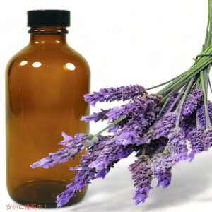 yő1,000~N[|91101:59܂ŁzƖp TCY@GbZVIC 40/42@x_[ Lavender 40/42 Essential Oil 16oz / 473ml