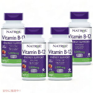 �y4�Z�b�g�zNatrol Vitamin B12 Tablets 5,000mcg, Strawberry, 100 Count / �i�g���[�� �r�^�~��B12 �^�u���b�g 5,000mcg 100�� �X�g���x���[��
