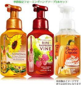 【お楽しみセット】3本★フォーミングハンドソープ 季節限定の香り Bath & Body Works Foarming Hand Soap　バス&ボディワークス