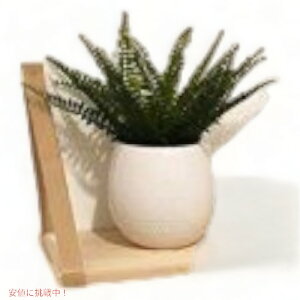 yő1,000~N[|111109:59܂ŁzEH[VFt I nMO t[eBO 2set Brown AJ[i͂!