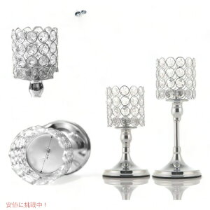 2TCYsetLhz_[ XC ֗ȑ召 silverAJAƋ@AJAG AJ[i͂!