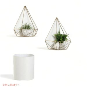 yő2,000~N[|121101:59܂ŁzEH[VFt I ^fBXvC 2set Gold AJ[i͂!