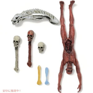 NECA vf^[fbNX ANZT[pbN 51550 ANVtBMA AJ[i͂!