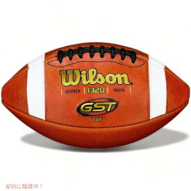 ウィルソン フットボール Wilson WTF1320R GSTレザー