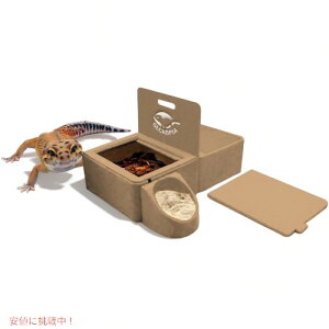 yő1,000~N[|91101:59܂ŁzEH[^[t[h{E QbR[sA gvfBbV 3in1 ঒ޗpM Geckopia Reptile Water Food Bowl