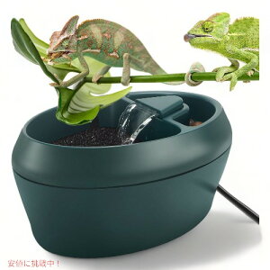 yő1,000~N[|111109:59܂ŁzlvgjI ঒ނ̃JI JeB[i XibNgt hbp[t Reptile Chameleon Cantina