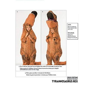 r[`Ch̃IWiCt[^uRX`[AT-RexAX[