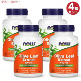 4個セット オリーブリーフエキス（オレウロペイン6％） 500mg 120粒 ナウフーズ オリーブ葉 #4722 NOW Foods Olive Leaf Extract 500mg