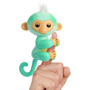 yő1,000~N[|101709:59܂ŁzFingerlings C^NeBu l` xr[ L[ Ava (Teal)  b   dqybg Interactive Baby Monkey