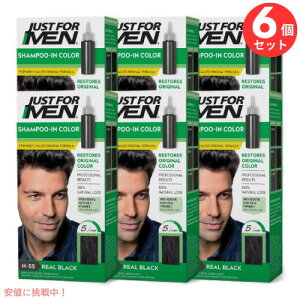 6Zbg Just For Men WXgtH[ OCwAp wAJ[ Vv[CJ[ [H-55 AubN] Shampoo-In Color H-55 Real Black