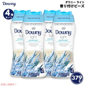y4ZbgzDowny _Ej[ Cg p tr[Y I[V~Xg̍ 379g / 13.4oz Laundry Scent Booster Beads for Washer