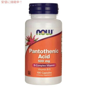 NOW�@Pantothenic Acid 500 mg 100 Caps #0486�@�i�E�@�p���g�e���_�i�r�^�~��B5�j 500mg