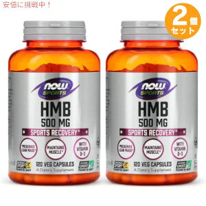 2Zbg iEt[Y X|[c HMB 500mg 120 xWJvZ #2054 NOW Foods HMB 120 Veg Capsules