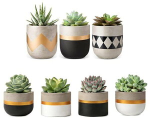 7Zbgv^[Zbg A Aؔ Zg AJ[i͂!