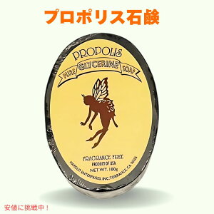 v|XΌ nCΌ 100g Ō`XLPA\[v VR {fB[&p y1z