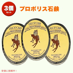 v|XΌ nCΌ 100g Ō`XLPA\[v VR {fB[&p nCyYy3z