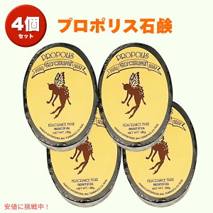 v|XΌ nCΌ 100g Ō`XLPA\[v VR {fB[&p nCyYy4z