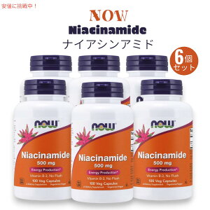 yő1,000~N[|111109:59܂Łz[6Zbg] Now Foods iEt[Y iCAVA~h ir^~B3j500 mg 100  xWJvZ #0478 Niacinamide (B-3) 500 mg Veg Capsules