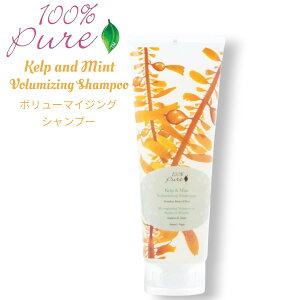 �y�ő�2000�~OFF 4/10��1:59�܂Łz�y�����z100% Pure �P���v���~���g �{�����[�}�C�W�W���O�V�����v�[ 8 fl oz Kelp and Mint Volumizing Shampoo 236ml�y���������z