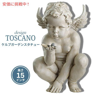 Design Toscano fUC gXJ[m CtY~Xe[YPu K[fX^`[ Vg 15C` Life Mysteries Cherub Garden Statue 15inch