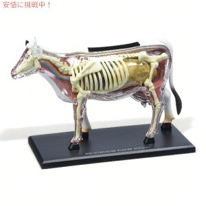 Tedco ebhR 4D Master U͌^ Vision Cow Model Anatomy Model